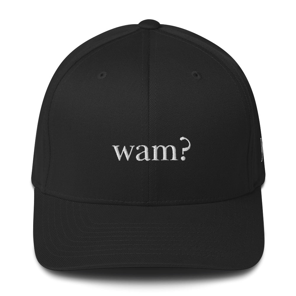 The Caribbean word “Wam” originates from informal slang, especially in places like Trinidad or Jamaica, and is used as a casual way of saying “What’s up?” or “What happened?” Its origin traces back to the shortening of the English phrase “What happen?” into local Creole speech, where it was adapted into the quick, rhythmic expression.